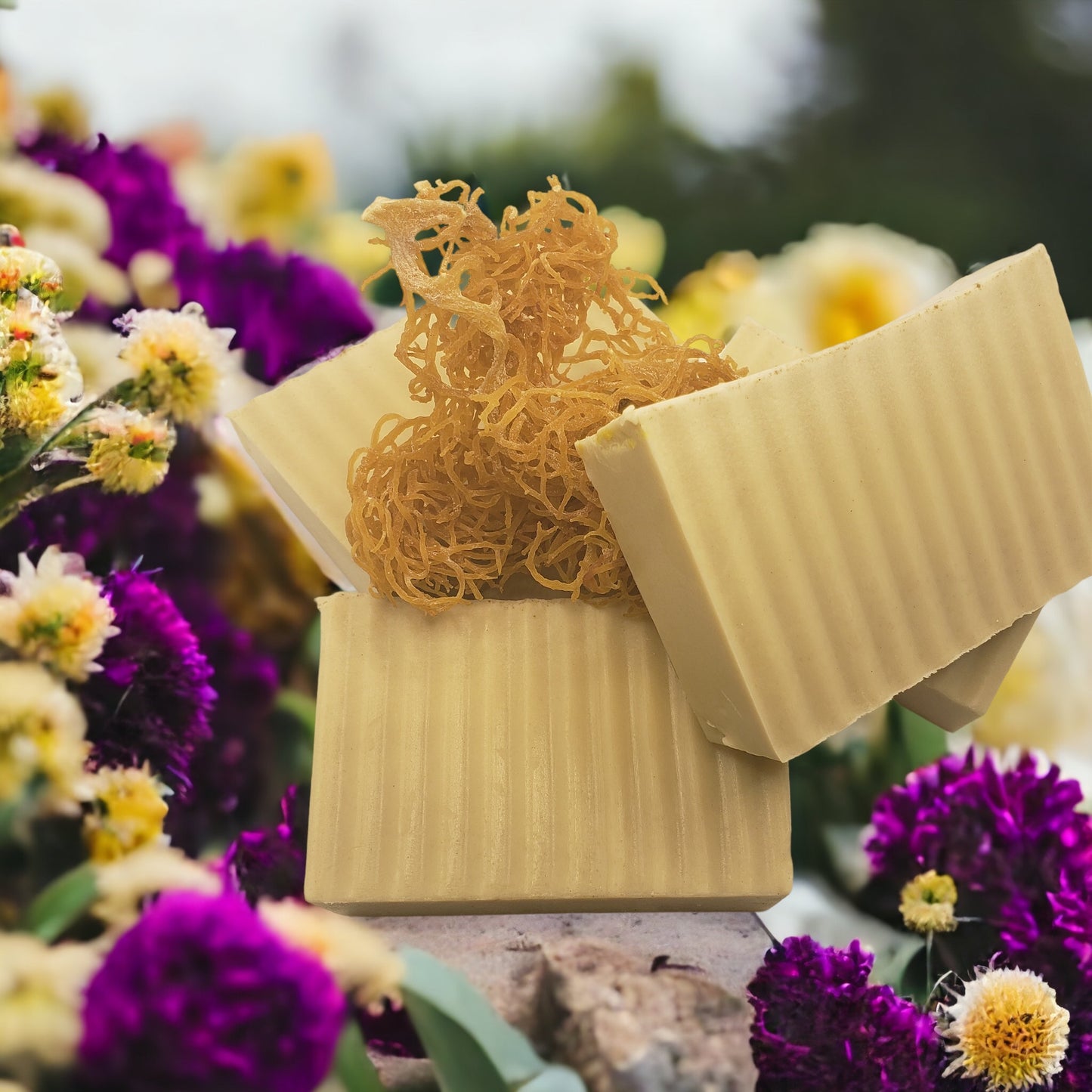 Goats milk and honey soap